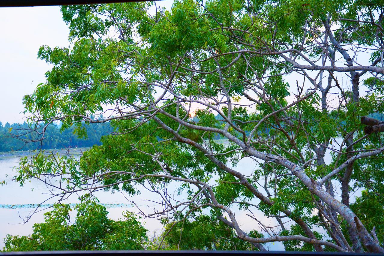 Diya Dahara Lake Resort Yala Dış mekan fotoğraf