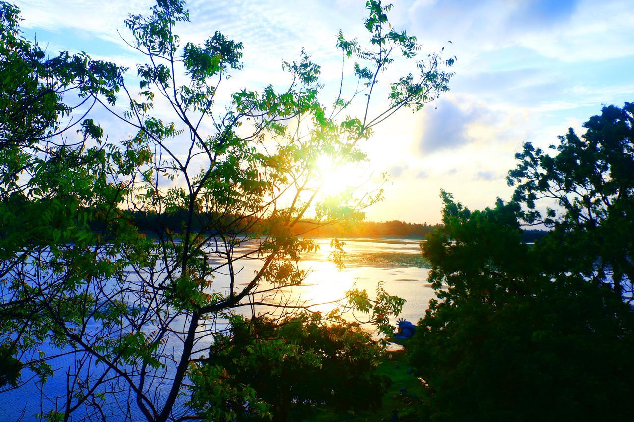 Diya Dahara Lake Resort Yala Dış mekan fotoğraf